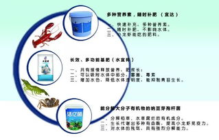 四月金磚水產(chǎn)盛會 先進養(yǎng)殖設(shè)備與技術(shù)齊聚廈門